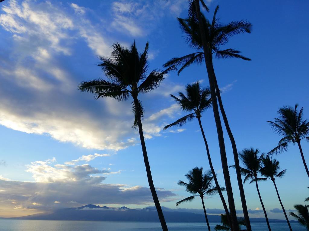 Mahina Surf 220 By Redawning Aparthotel Lahaina Exteriör bild